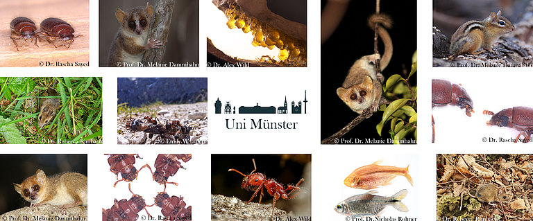Banner_Fotos_mit_Credit.jpg